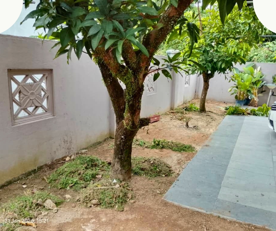 zufarlandscape-proses-sitevisit