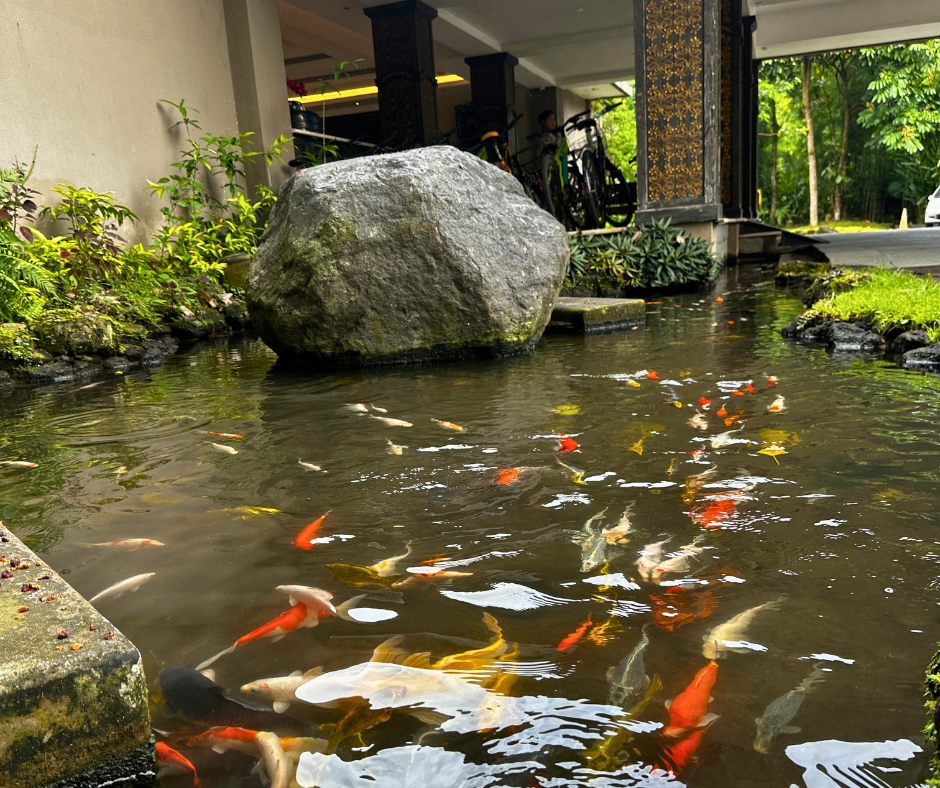 zufarlandscape-service-waterfeature