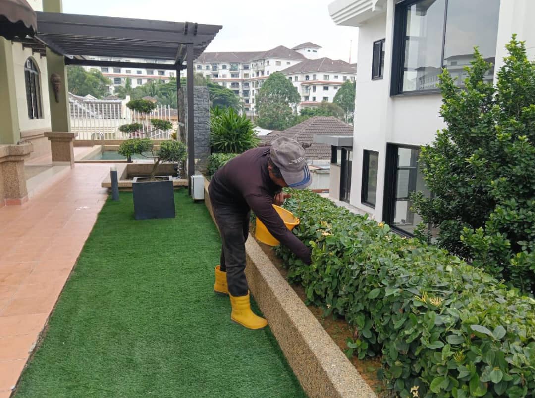 zufarlandscape-maintenance-service